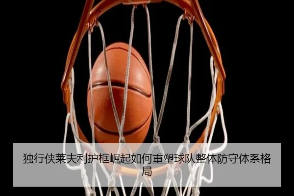 独行侠莱夫利护框崛起如何重塑球队整体防守体系格局